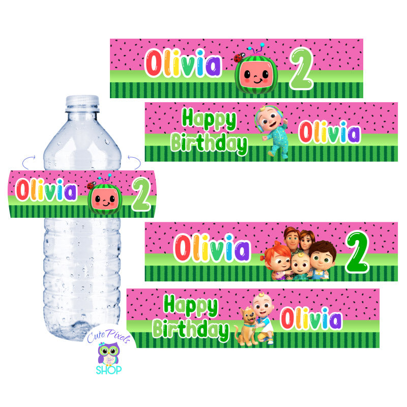 Encanto water bottle label, instant download, encanto birthday