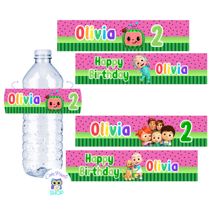 Cocomelon Water Bottle Label Custom, birthday party – Kawaii Raymi